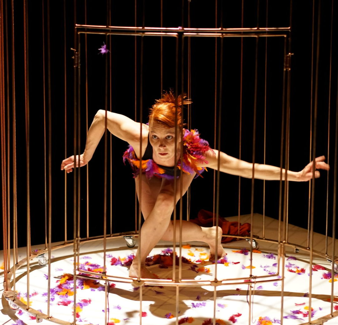 Danseuse dans une cage d'oiseau