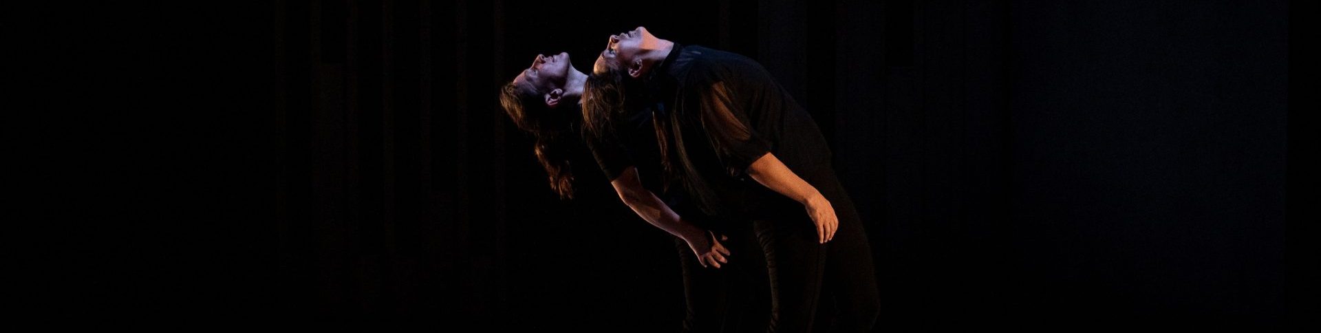 DANSE